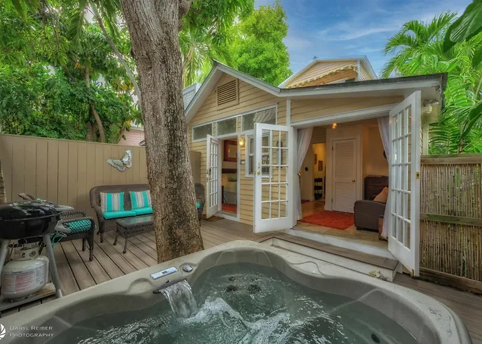 Mango Hideaway Eyebrow House
